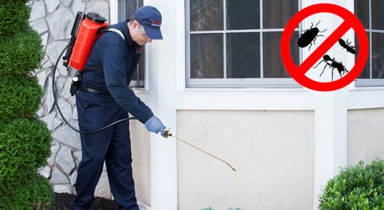 Arpaçay Böcek İlaçlama böcek ilaçlama ve haşere kontrolü — ilaclama-tr.com